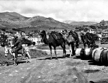 Καραβάνι με καμήλες στην Άμφισσα γύρω στο 1920 - Mια συνηθισμένη εικόνα στην ελληνική ενδοχώρα στις αρχές του 20ου αιώνα